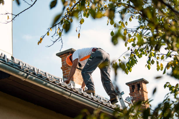 Roof Gutter Cleaning in Matheny, CA